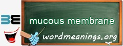 WordMeaning blackboard for mucous membrane